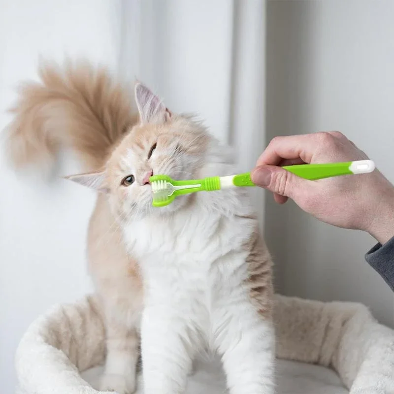 2025 new 3-Sided Dog Plastic Toothbrush Removing Bad Breath Tartar Pet Dental Care Cat Cleaning Mouth