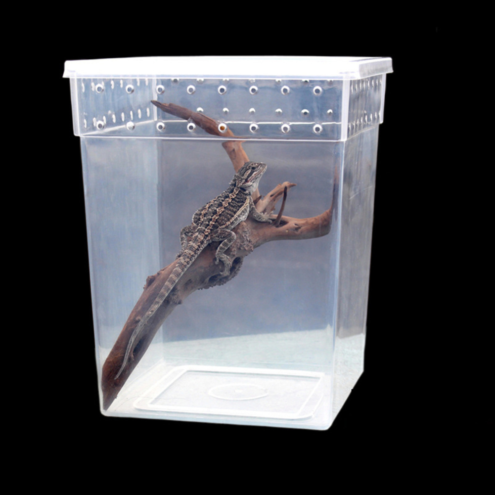 Reptile Terrarium Aquarium Breeding Tank,Tarantula Enclosure Feeding Box Insect Habitat for Snake Lizard Hermit Crab Insect