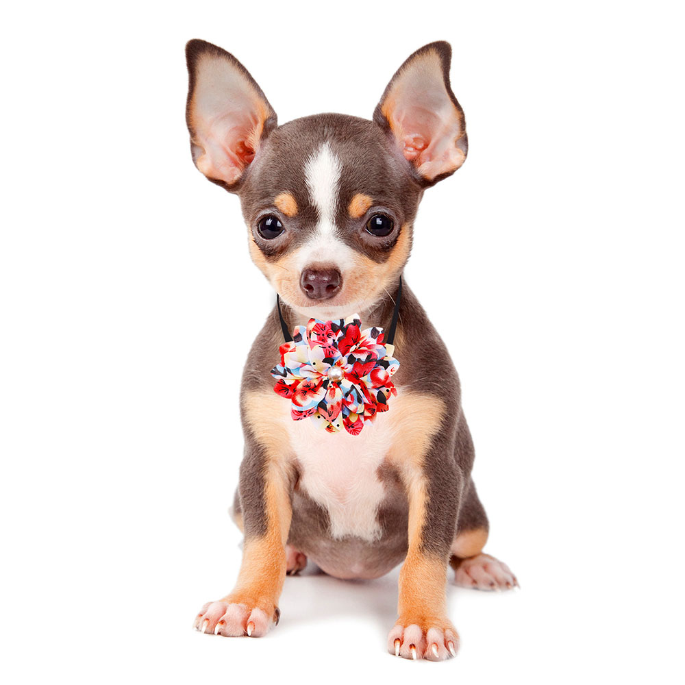 Flower Dog Bowties Pets Bow Tie Collar Chiffon Dog Decoration Bows Adjustable Doggy Collar for Dogs Pet Grooming Accessories