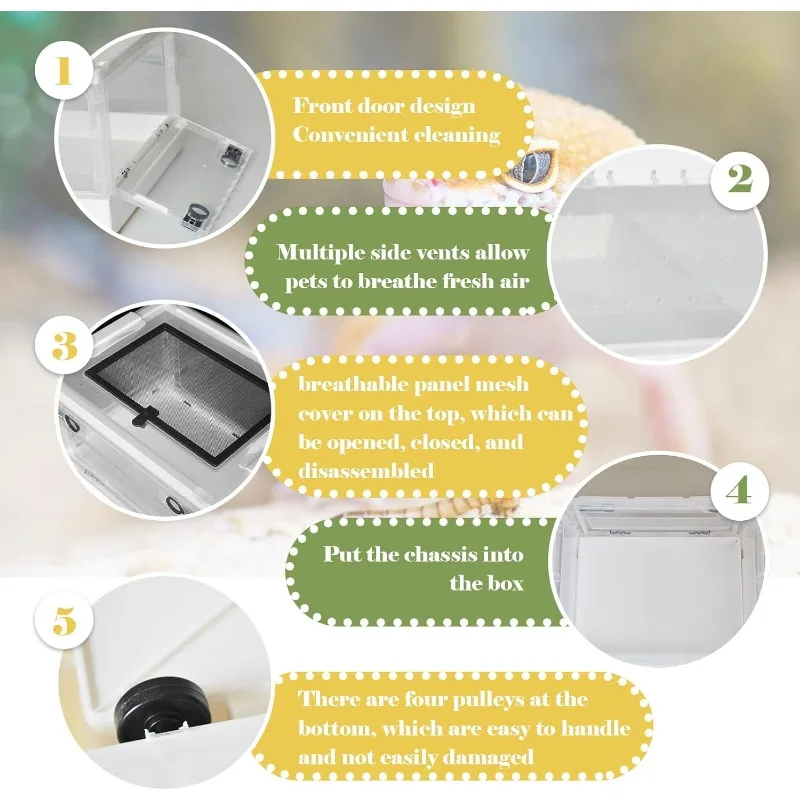 Plastic Reptile Feeding Box Portable Transport Container Reptiles Breeding Enclosure Cages Transparent Amphibians Habitat Box