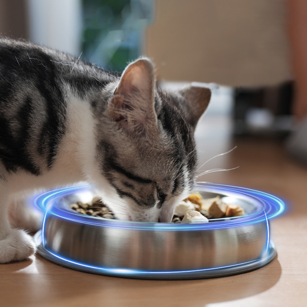 Dog Bowl Stainless Steel Dog Food Water Bowl With Anti-slip Silicone Mat Anti Overthrow Pet Grain Basin For Dogs Cat Puppy