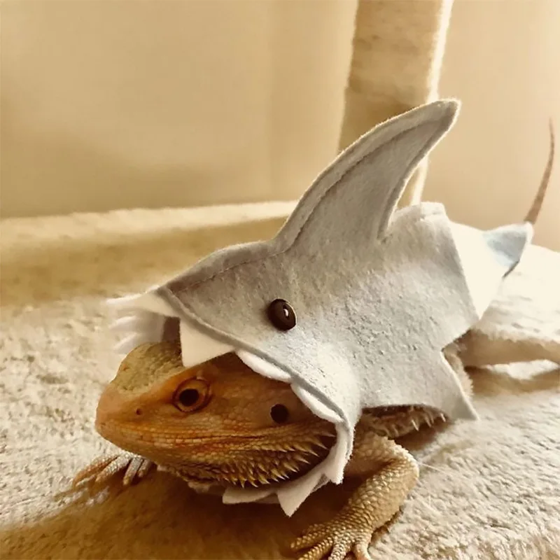 Lizard and Shark Clothing New Small Pet Supplies Felt Cloth Lizard Clothing Small Pet Transformation Clothing
