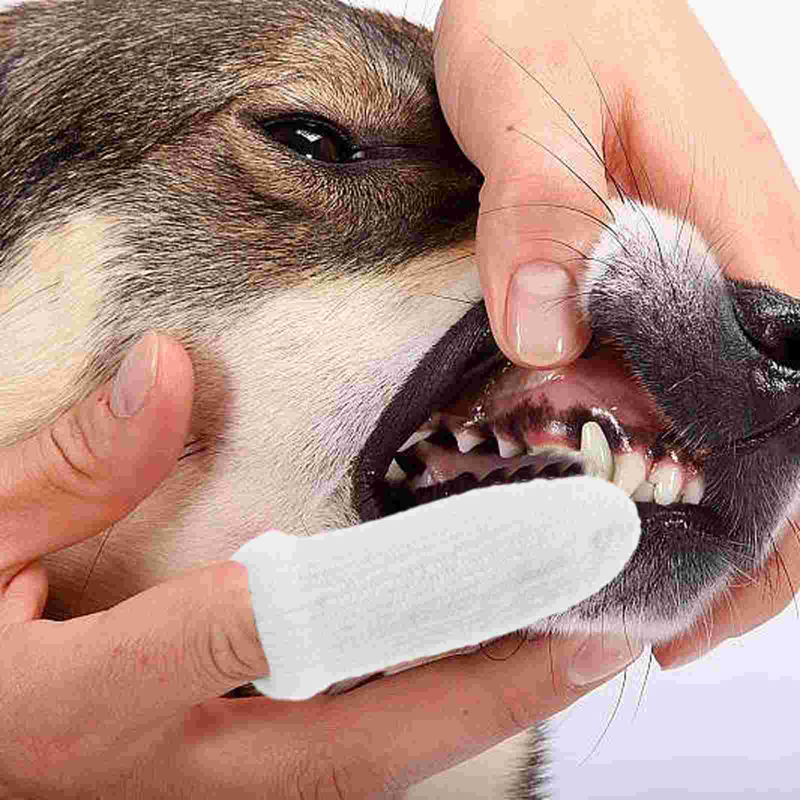 Dog Tartar for Teeth Pet Cleaning Finger Cots Toothbrush Dental Sticks Dogs White
