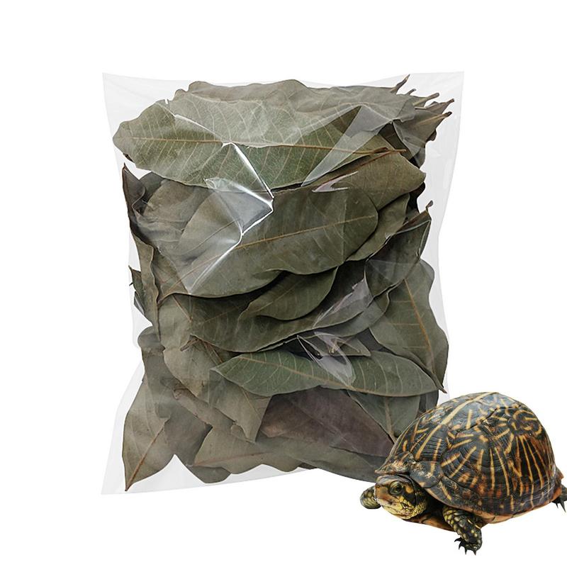 50 pieces Turtle Longan Leaf Betta Fish Toys Aquarium Leaf Longan Leaves Create Realistic Habitat Improve Water Quality Aquarium