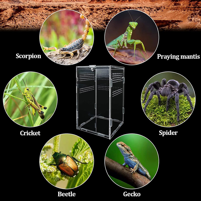 Reptile Terrarium Breeding Box Acrylic Case Nano Arboreal Tarantula Enclosure Spider Scorpion Bearded Dragon Habitat