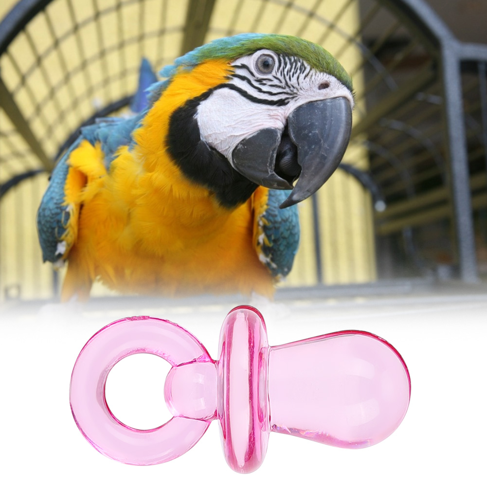 Bird Plastic Chewing Toy Set, Colorful Nipple Bite, Parrot Supplies, DIY Accessories, 50Pcs