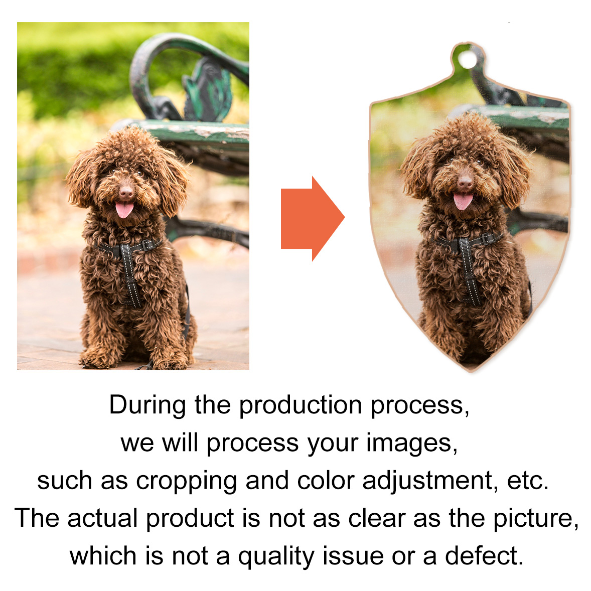 Custom Photo Print Dog Memorial Gifts Personalized Cat Picture Keychain Keyring Pet Portrait Customize Pet Loss Gift