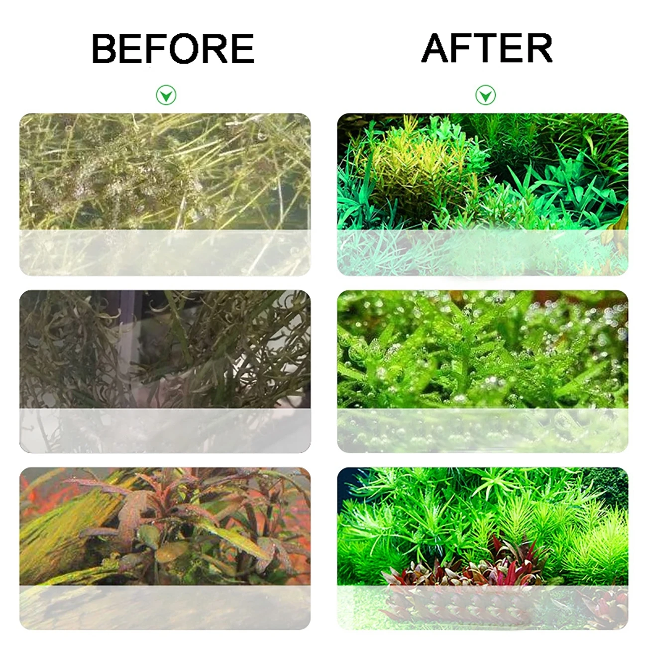 2L Aquarium CO2 Generator System Solenoid Valve CO2 Cylinder Generator System Reactor Kit Bubble Diffuser For Plant Fish Tank