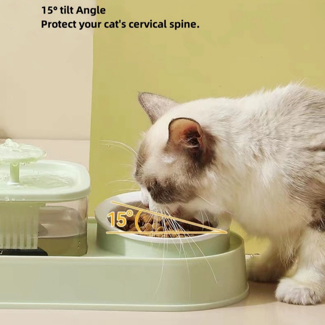 Cat Food Bowls and Water Feeder with Automatic Water Dispenser Double Dog Cat Bowls Detachable Pet Feeder