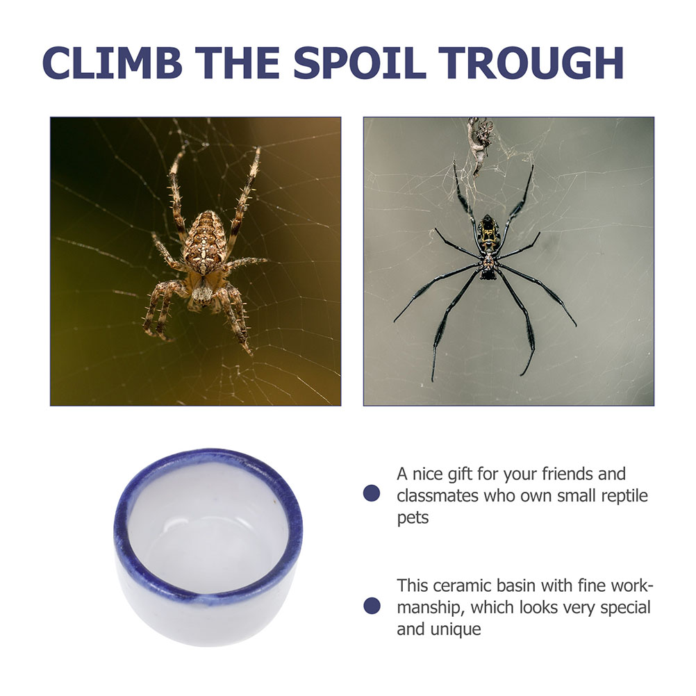 24 Pcs Reptile Water Dish Terrarium Bowl Mini Food Crawler Feeding Sink Lizard Lizard Lizard Pet Water Bowl Drinking Container