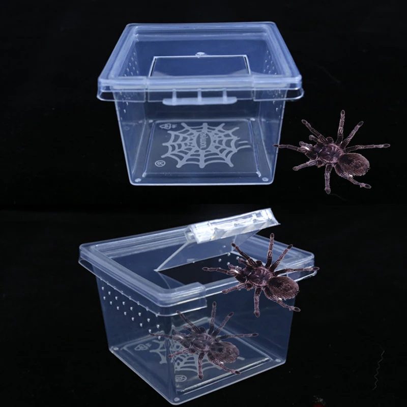 1pcs Feeding A Tortoise Spider Beetle Insect Housecrylic Box Reptile Cage Hatching Container Rearing Tank for Lizards Terrarium