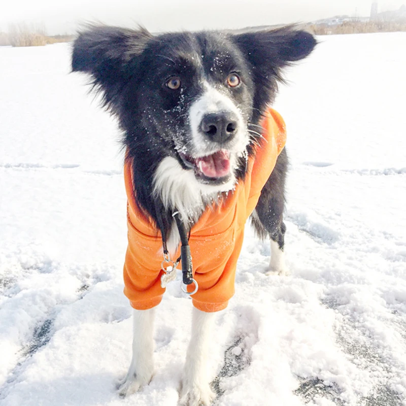 Slip Collar Dog Training Choke Collar,Round Nylon Rope Collar No Pull P-Collar for Small Medium Large Dogs Walking Accessories