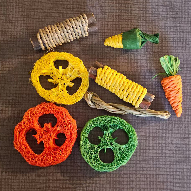 Rabbit Guinea Pig Dragon Cat Chew Toys Tooth Cleaning Toy for Bunny Hamster Tooth Grinding Set Pet Tooth Grinding Snacks