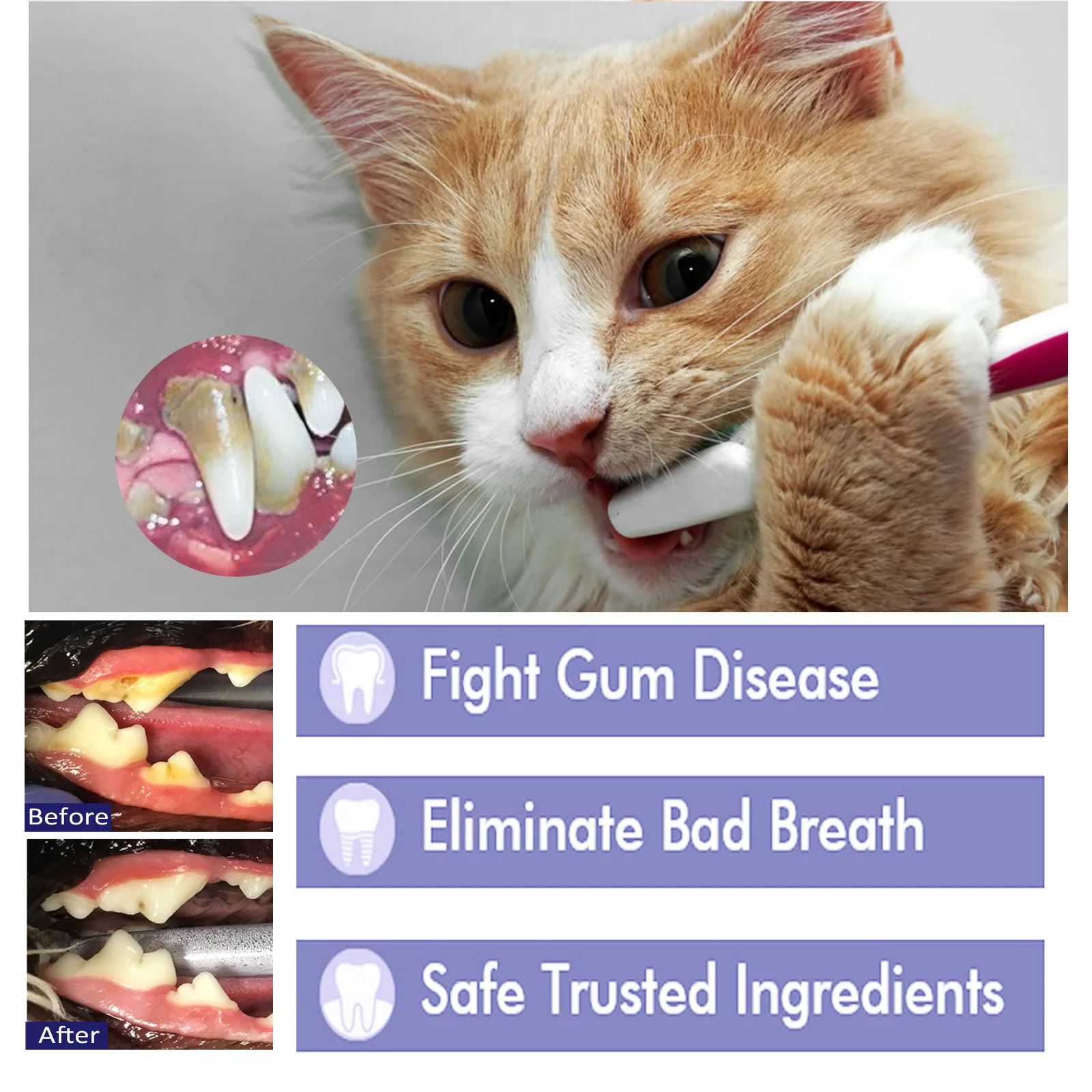 Pet Toothpaste For Dogs Reduce Tartar And Plaque Buildup Cleaning Dog Oral Fresh Breath Edible Pets Products Cleaning Supplies