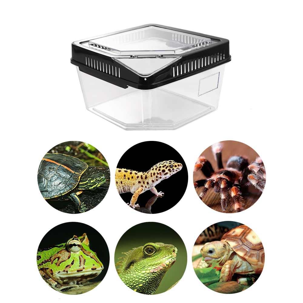 Transparent Plastic Turtle Reptile Carrier Cases Anti-escape Tank Gecko Snail Convenient Habitat Box Tarantulas Pets Supplies