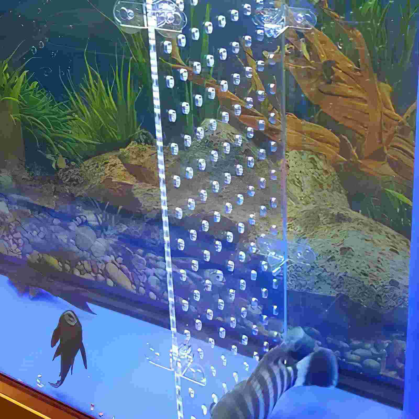 Fish Tank Isolation Board Water Case Aquarium Divider Supply Separator Breeding Box Acrylic Accessory