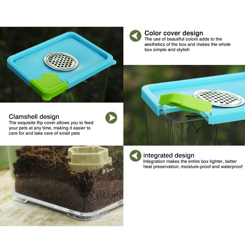 Reptile Breeding Box Clear Acrylic Terrarium Feeding Box With Stainless Steel Ventilation Nets For Spider Scorpion Snail Reptile