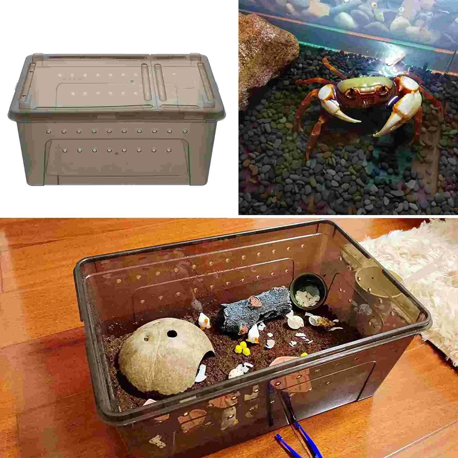 Reptile Feeding Box Aquarium Tub Water Turtle Fish Tank Terrarium Reptisoil Animal Supply Crawl Scorpion