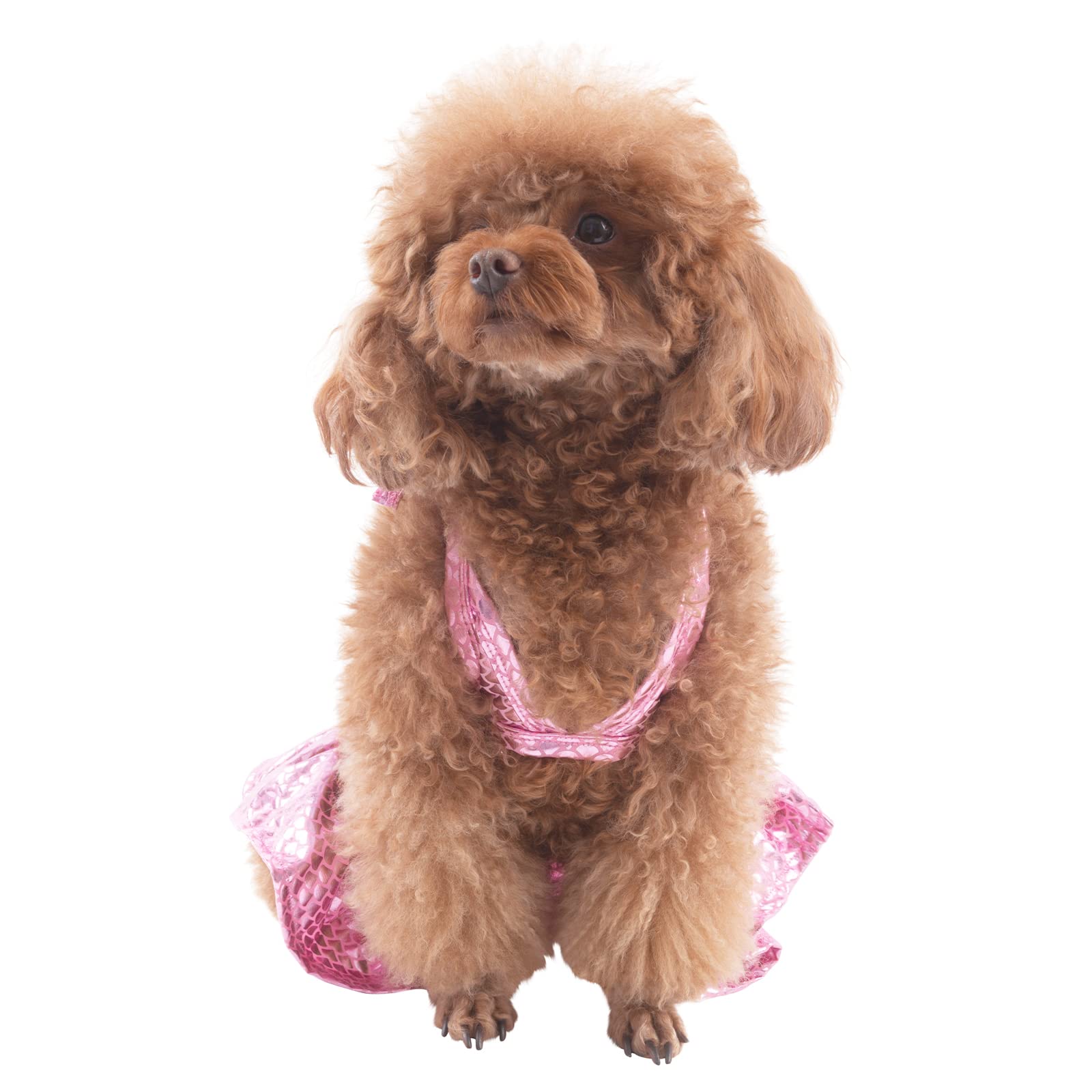 2 Pack Dog Bikini Set,Beach Dog Swimsuit Mermaid Dog Bathing Suit Summer Costume with Shiny Scale Blue & Pink  for Cats Girl Pho