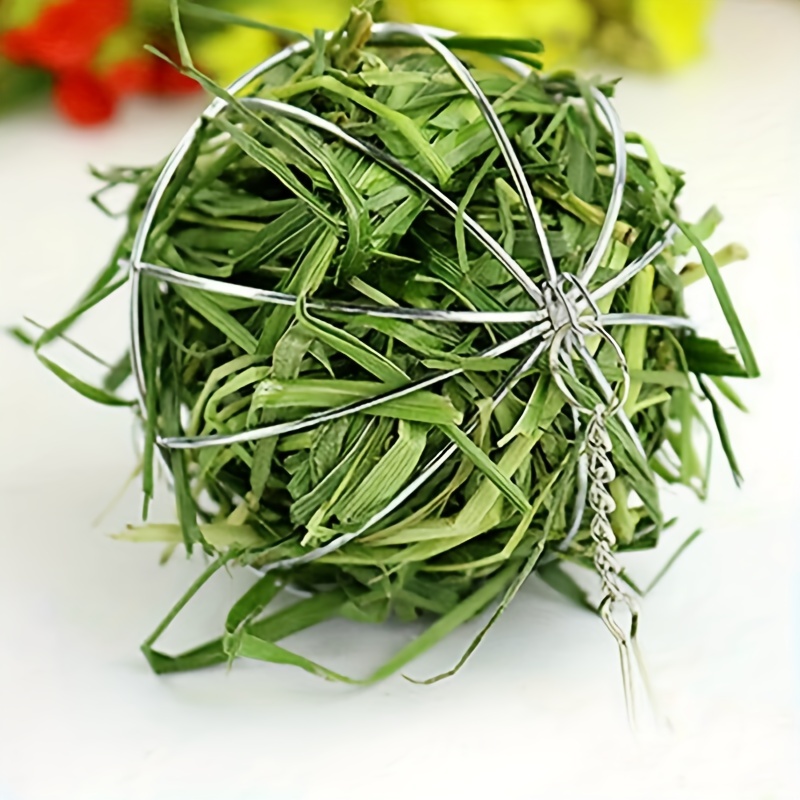 Rabbit Grass Feeder Ball - Stainless Steel Holder for Small Pets - Easy Feeding Tool for Healthy Digestion