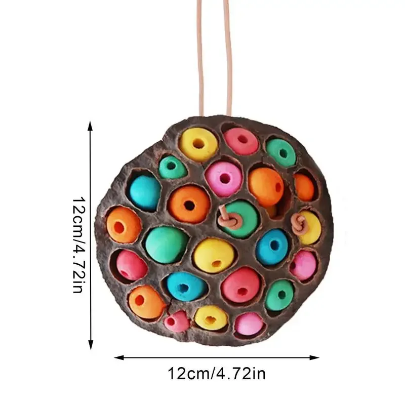 Lotus Pod-shaped Bird Parrot Anti Biting Natural Chew And Foraging Toy For Parakeet Cockatiel Entertainment Pet Supplies