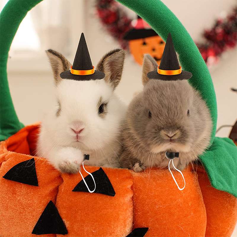 Guinea Pig Wizard Hat Bow tie Rabbit Halloween Costume Hamster Cap Witch Head Accessories for Hedgehog Chinchilla Ferret