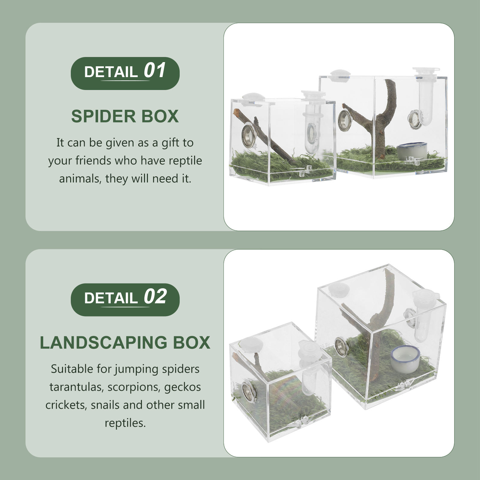 2 Pcs Jumping Spider Breeding Box Acrylic Reptile Terrarium Acrylic Snail Container Humidifier Case Insect Habitat Reptiles