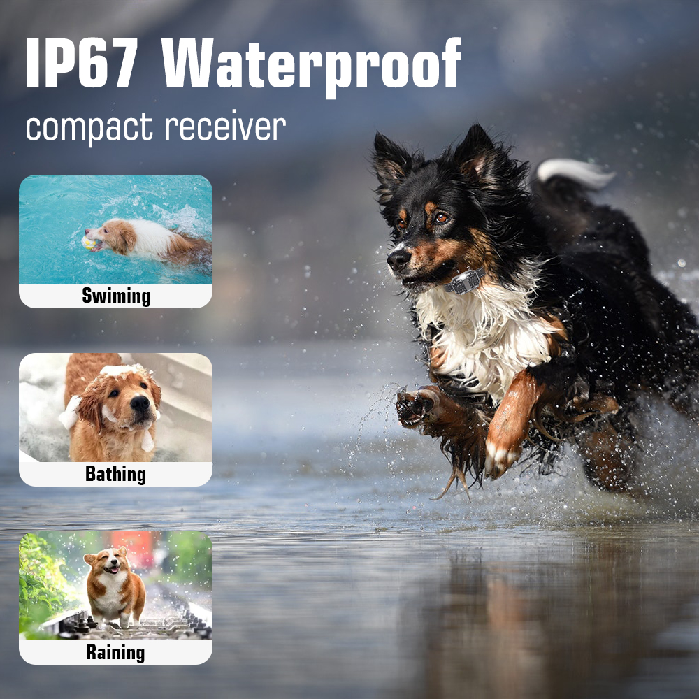 Dog Collar for 3 Dogs, Waterproof Rechargeable Dog Training Collar with Remote for Small, Medium and Large Dogs,IP67 Wat