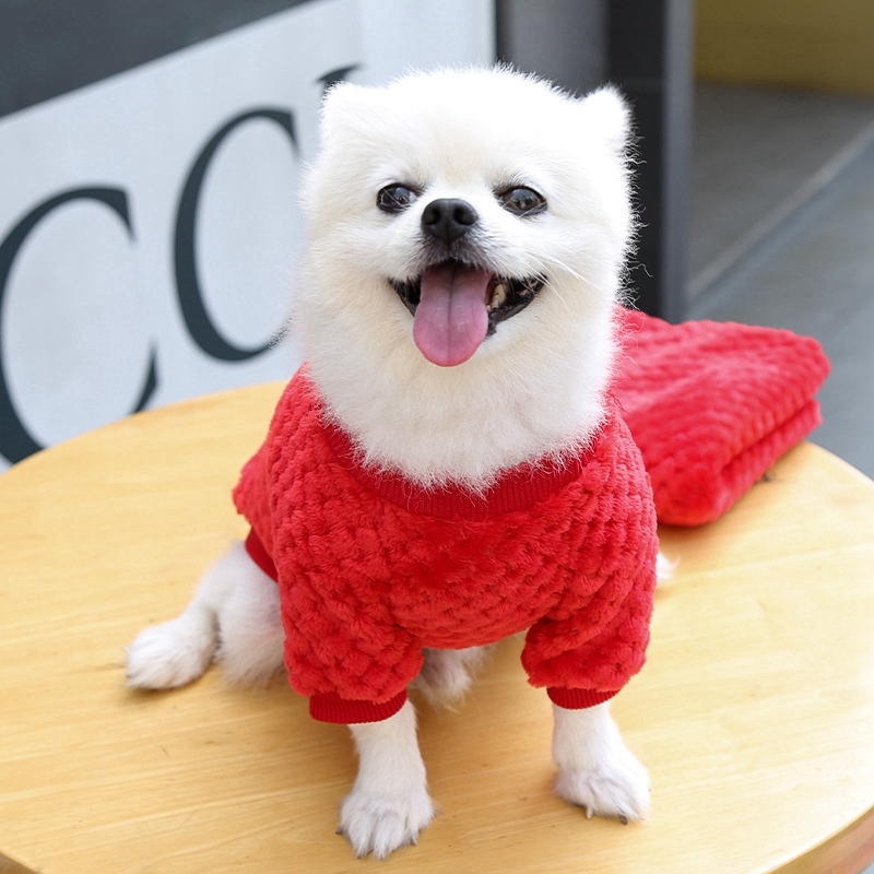 Cute Bear Autumn Winter Warm Dog Hoodie Thick Dog Sweater Pullover Sweater Warm Coat for Small Dogs Teddy Dog Pet Dog Clothes
