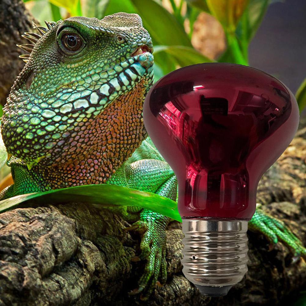 E27 Amphibian Snake Reptile Light Bulb Heat Night Light Day Poultry Heating Bulb 100W 75W 60W 50W 40W 25W