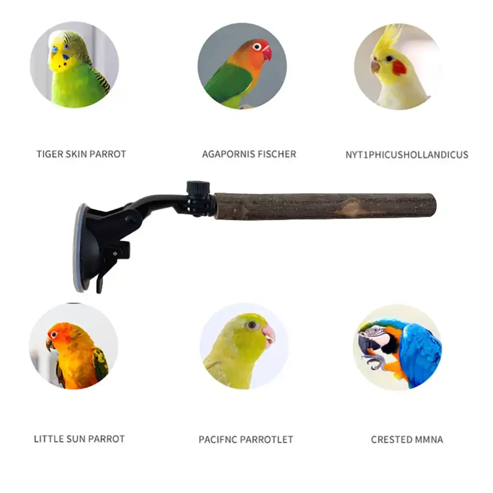 Wood Parrot Perch Prevent Slip Interactive Bird Window Perch Stand with Suction Cups for Small Medium Bird Parrot Toys