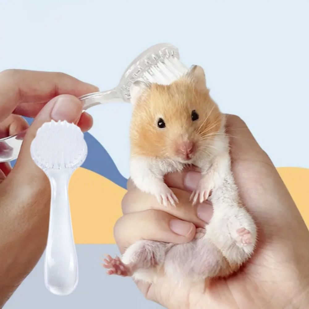 1Pc Pet Grooming Brush Guinea Pig Cleaning Tools Hedgehog Massage Combs Hamster Bathing Combs