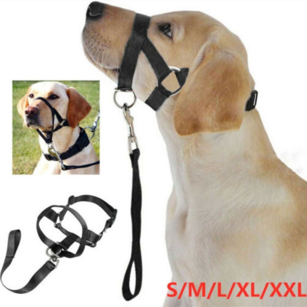 Harness Adjustable Muzzle Dog Halter Leader Belt Dog Collar Head Collar No Pull Bite Straps Training Leash Leader