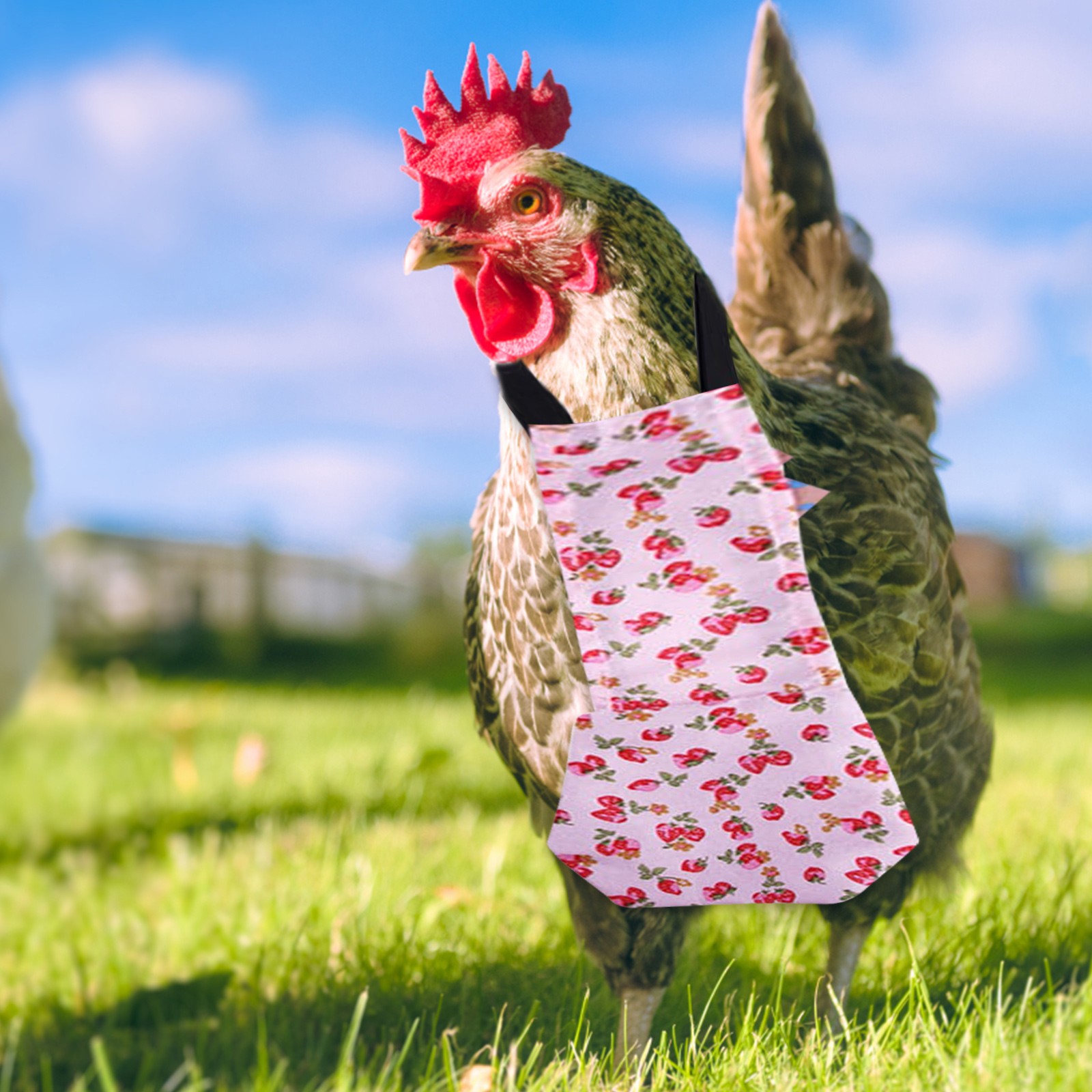 Pet Diapers Chicken Print Pattern Bow Clothes Pet Supplies Diapers Pet Accessories Bedding & Litter Accesorios Mascotas 애견용품