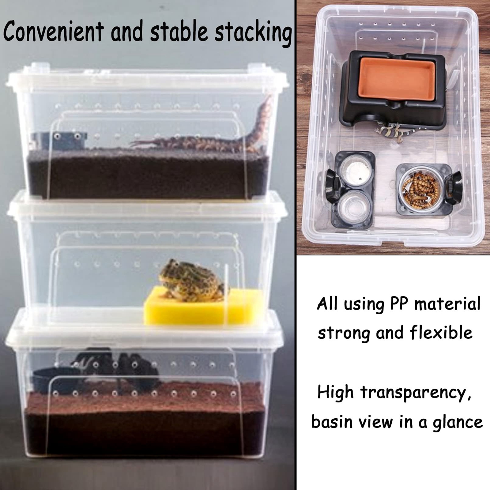 Reptile Breeding Box Reptile Terrarium Transparent Transparent Animal Habitat Cage for Snake Gecko Silkworm Reptile