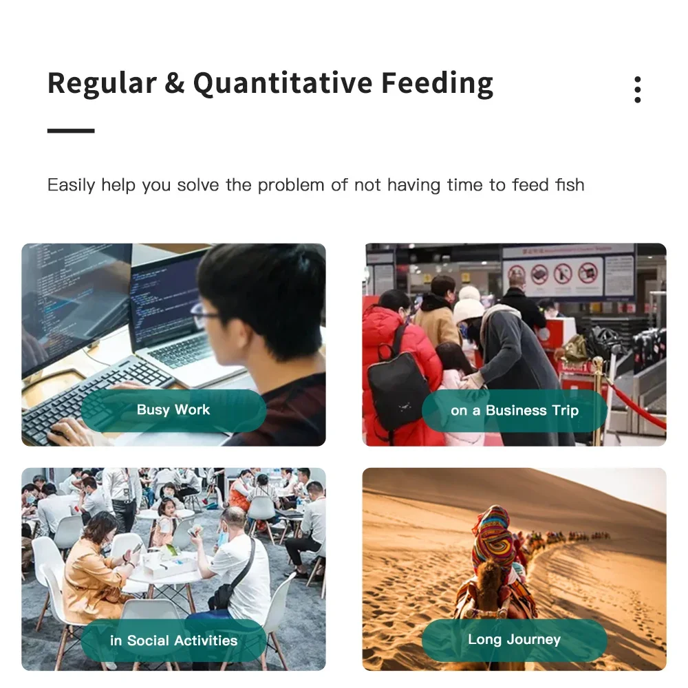 Jebao Fish Feeder Aquarium Fish Pond Large Capacity Automatic WIFI Feeder Koi Feeder Smart Control Aquarium Pond Automatic Feed