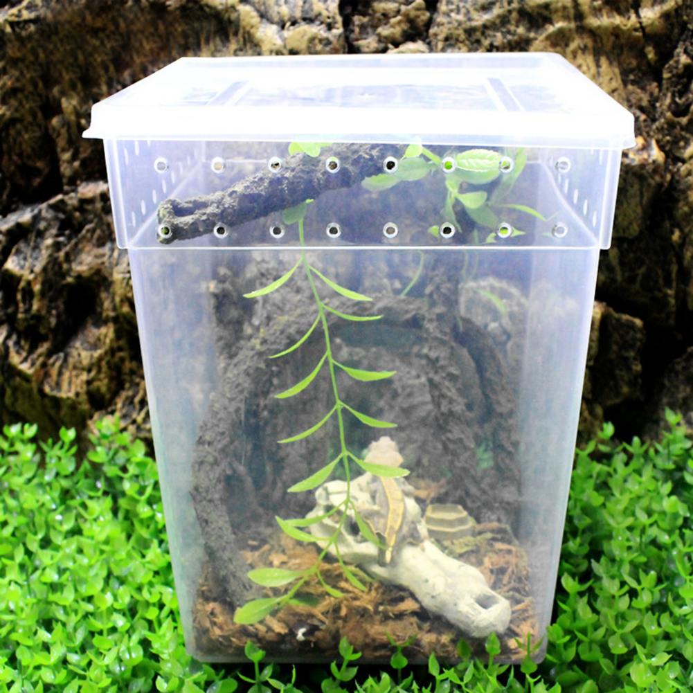 Reptile Terrarium Aquarium Breeding Tank,Tarantula Enclosure Feeding Box Insect Habitat for Snake Lizard Hermit Crab Insect