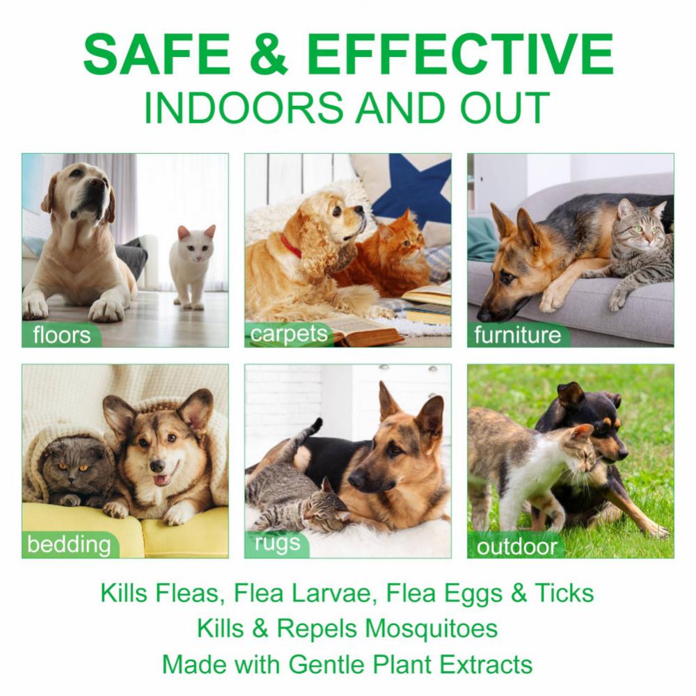 1~10PCS Pet Insect Repellent Insect and Mosquito Repellent Spray In Vitro Tick and Flea Lice Spray Pet Cleaning Products