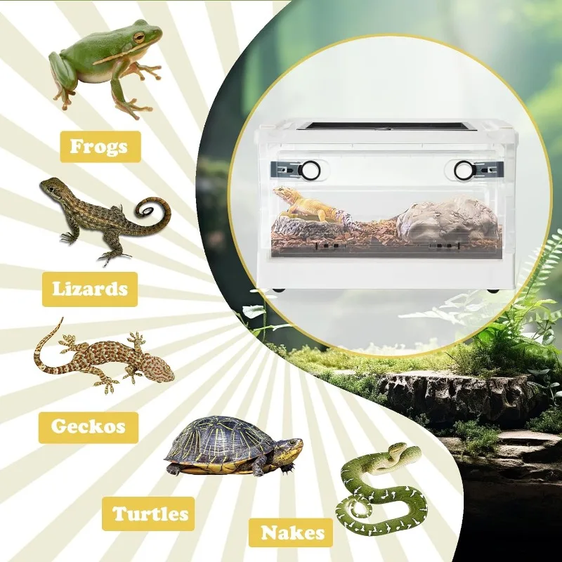 Plastic Reptile Feeding Box Portable Transport Container Reptiles Breeding Enclosure Cages Transparent Amphibians Habitat Box