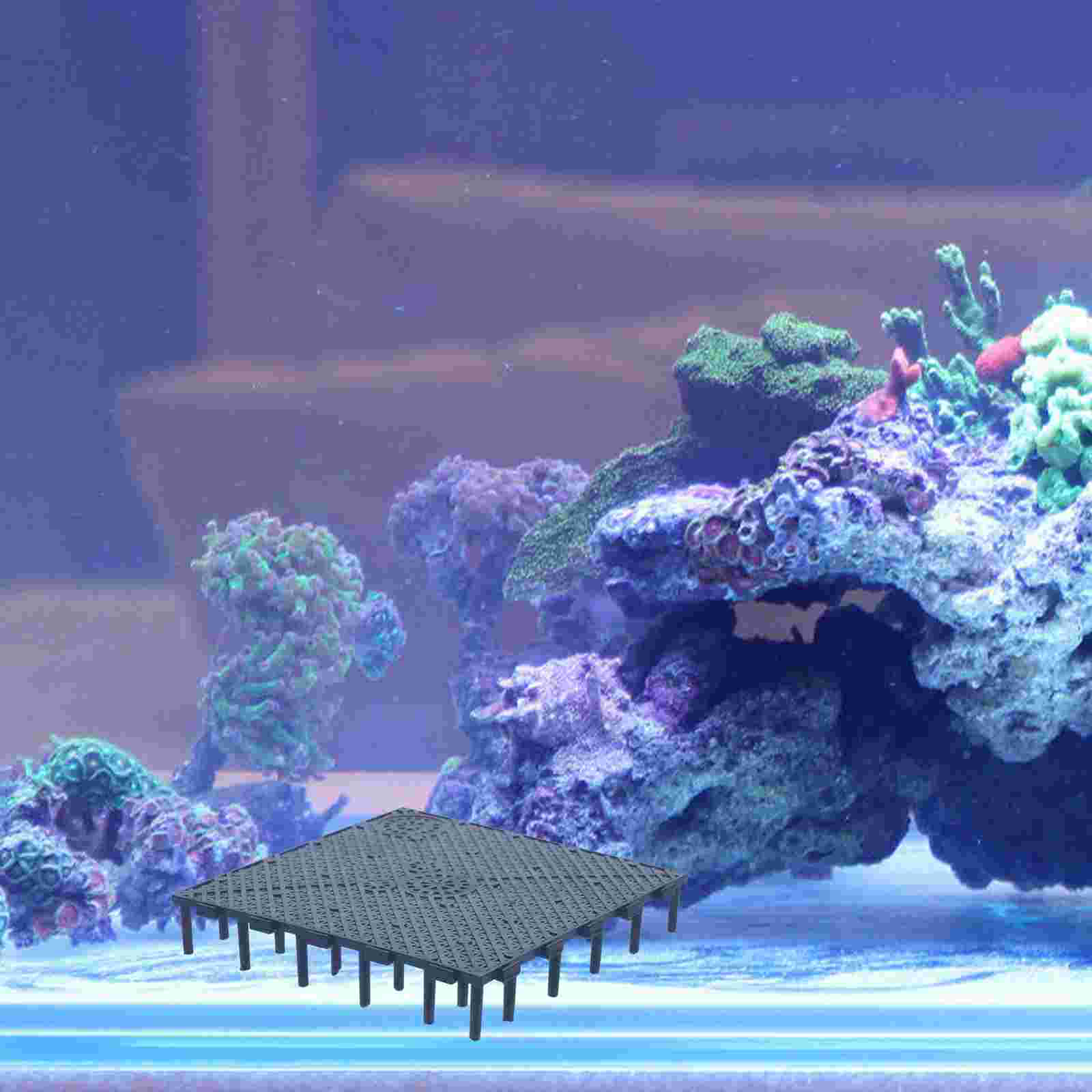20 Pcs Filter Plate Turtle Aquarium Divider Floss for Fish Tank Filters under Gravel Plates PVC