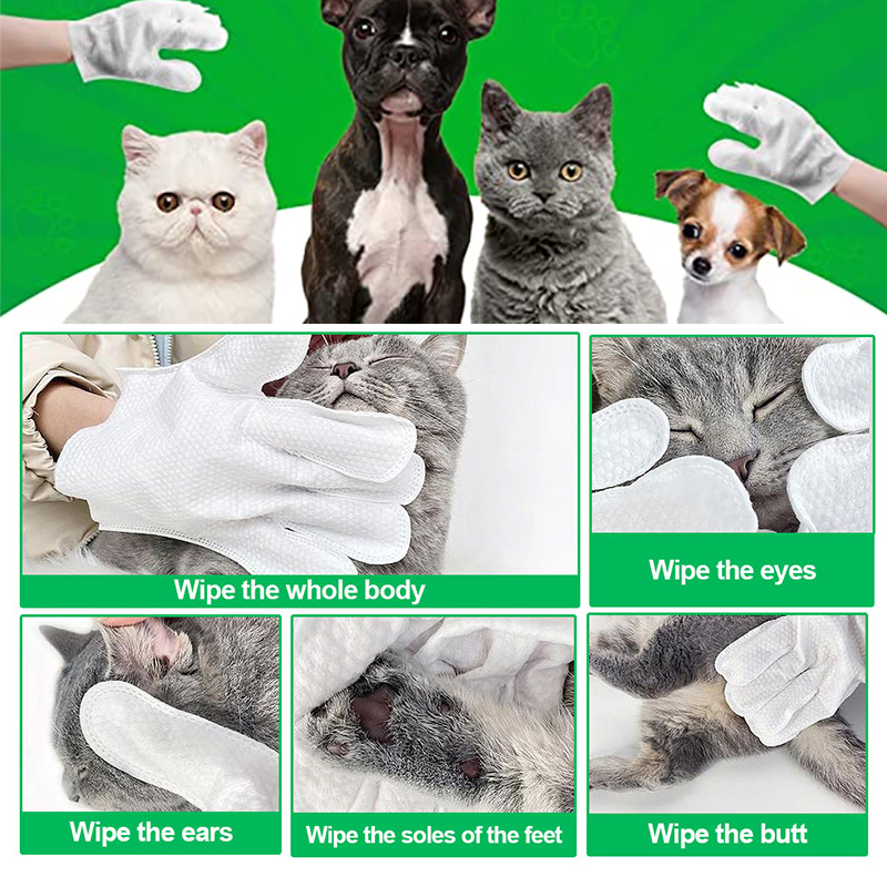 Vegan Manufacturer Wet Wipes Bath Cleaning Pet Wipes Odor Convenient Pet Tooth Wipes For Dogs