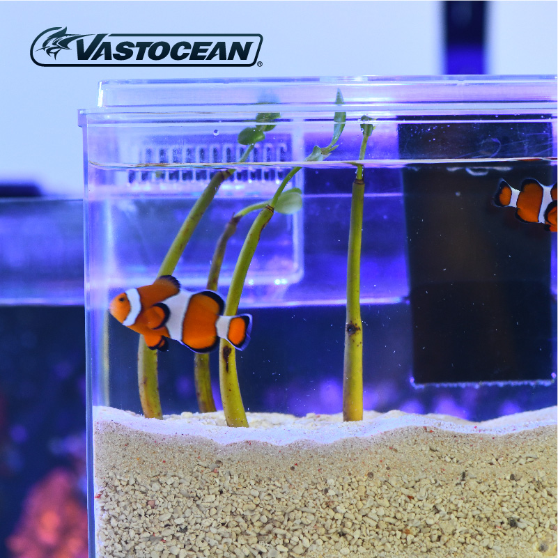 VASTOCEAN Fish Tank External Feeding Box Marine Tank Extension Tank Mangrove Tank ATS Algae Box Full USB Power Supply