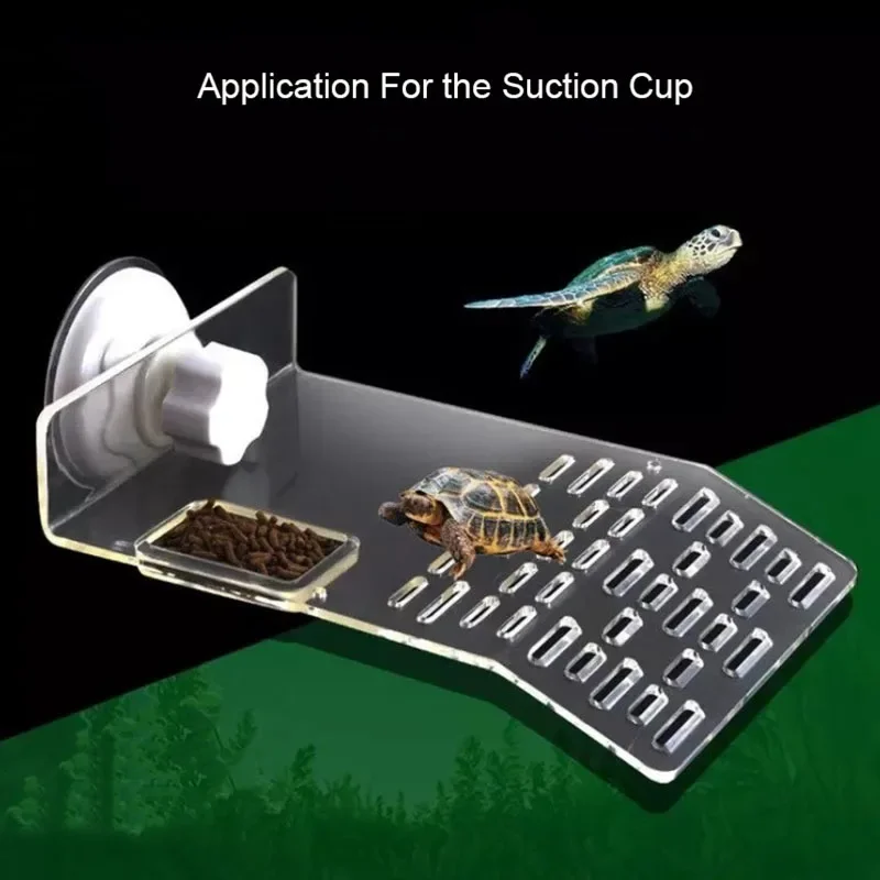 1Pcs Aquarium Suction Cup Filter Air Pump Water Pump Holder Sucker for Fish Tank Pump Suction Cups Aquatic Pet Supplies