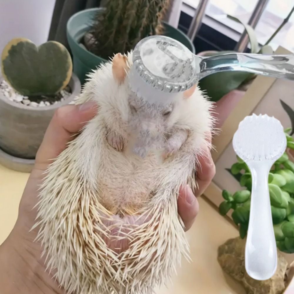 Animal Grooming Brush Soft Cleaning Tools Guinea Pig for Hedgehog Massage Small Bathing Hamster 1pc Combs