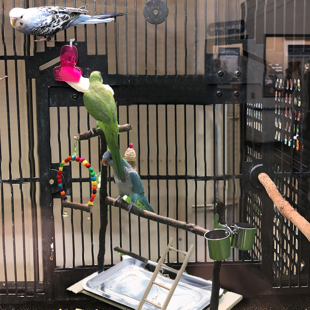 Bird Playground Parrot Playstand Gym Playpen Play Stand Wood Perch Exercise Activity Center Ladders Feeder Cups Swing Toys