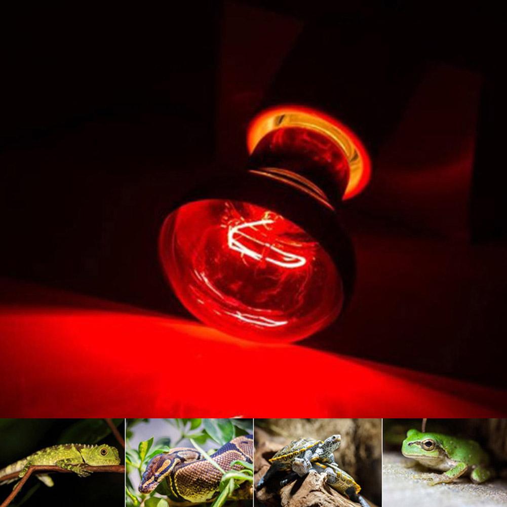 25W 40W 50W 60W 75W 100W E27 Poultry Heating Bulb Infrared Insulation Heating For Reptiles Plants Amphibians Pets Livestock Lamp