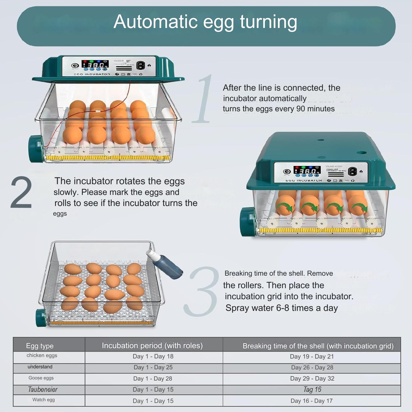 EU Plug Eggs Incubator 16/36 Eggs Digita Mini Automatie Incubatores for Hatching Goose Quail Chicken Egg Hatching