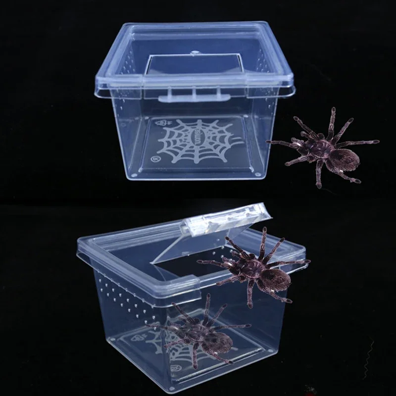 1pcs Feeding A Tortoise Spider Beetle Insect Housecrylic Box Reptile Cage Hatching Container Rearing Tank for Lizards Terrarium