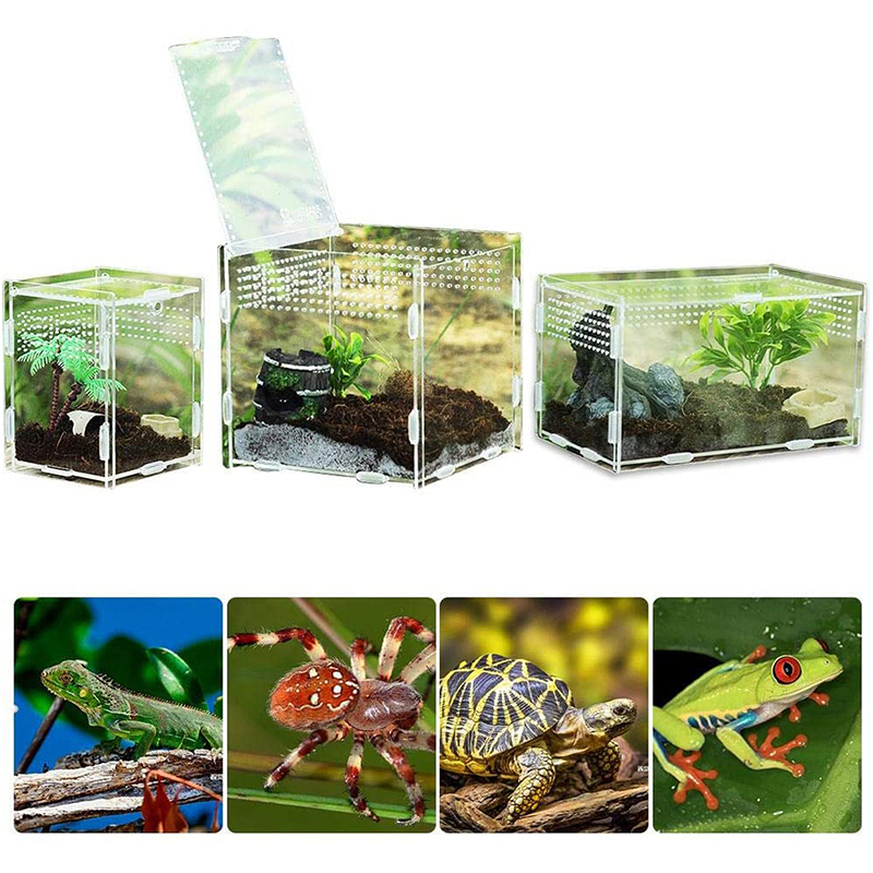 Reptile Terrarium Breeding Box Acrylic Case Nano Arboreal Tarantula Enclosure Spider Scorpion Bearded Dragon Habitat