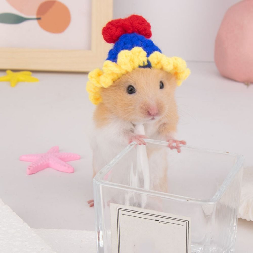 Cute Handmade Knitted Hat Hamster Decoration Chipmunk Guinea Pig Hamster Accessories Hamster Toy Hamster Supplies Small Pet Hat